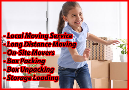 Packers And Movers Noida Sector 53
